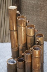 IMG_5467.jpg