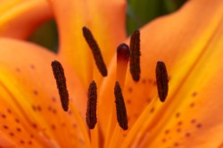 IMG_5477.jpg