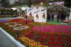 IMG_5487.jpg