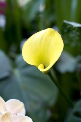 IMG_5513.jpg