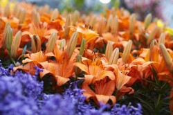 IMG_5531.jpg