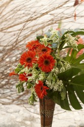 IMG_5579.jpg