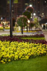 IMG_5615.jpg