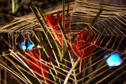 IMG_5618.jpg