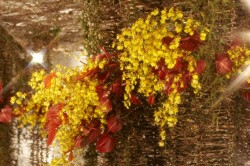 IMG_5621.jpg