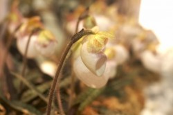 IMG_5627.jpg