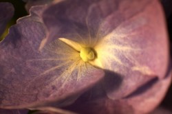 IMG_5632.jpg
