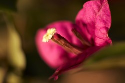 IMG_5641.jpg