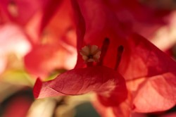 IMG_5655.jpg