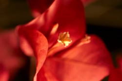 IMG_5656.jpg