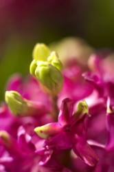IMG_5659.jpg