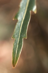IMG_5662.jpg