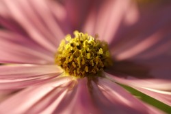 IMG_5669.jpg