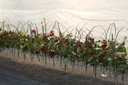 IMG_5701.jpg