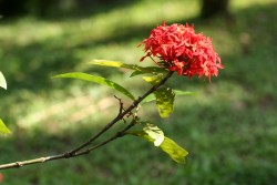 IMG_7544.JPG