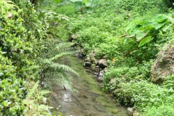 IMG_7554.JPG
