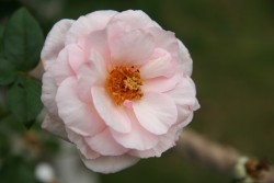IMG_7576.JPG