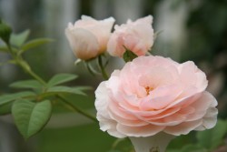 IMG_7578.JPG