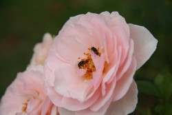 IMG_7580.JPG