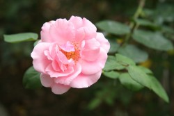 IMG_7598.JPG
