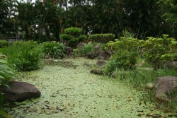 IMG_7639.JPG