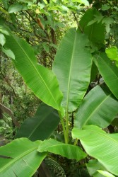 IMG_7649.JPG