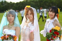 IMG_8233.jpg