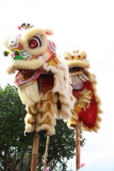 IMG_7450.JPG