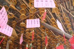 IMG_6962.JPG