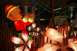 IMG_9679.jpg