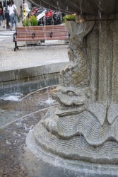 IMG_9246.JPG