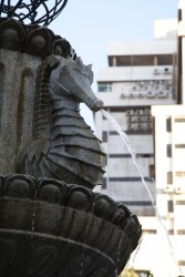 IMG_9247.JPG