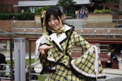 藝墟2008 琉璃雪華 (2008-01-19)