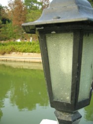 IMG_2246.JPG