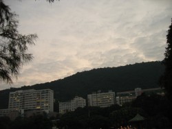 IMG_2298.JPG