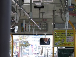IMG_3136.JPG