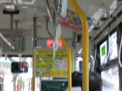 IMG_3140.JPG