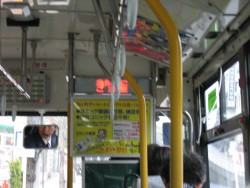 IMG_3141.JPG