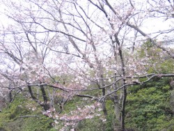 IMG_3154.JPG