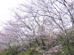 IMG_3155.JPG