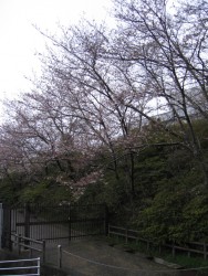 IMG_3156.JPG