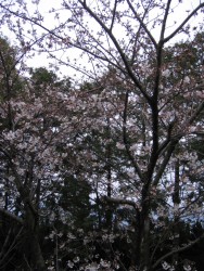 IMG_3160.JPG