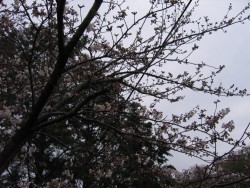 IMG_3161.JPG