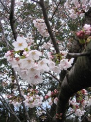 IMG_3162.JPG