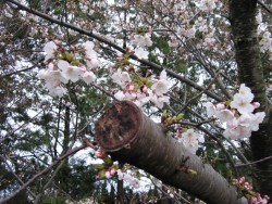 IMG_3163.JPG