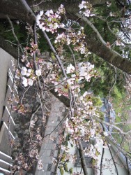 IMG_3164.JPG