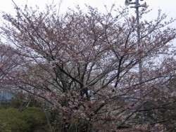 IMG_3166.JPG