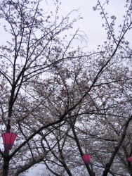 IMG_3167.JPG