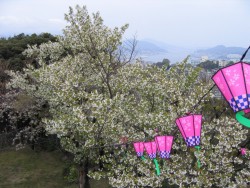 IMG_3170.JPG