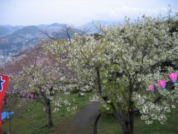 IMG_3173.JPG